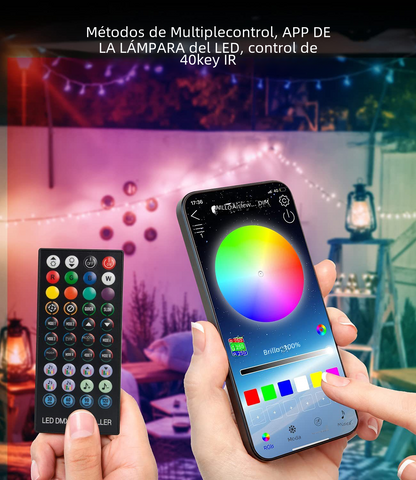 40-Key Bluetooth Fairy Lights with App Control